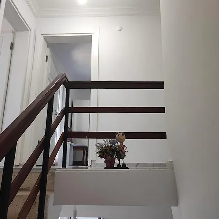 Coach Даламан