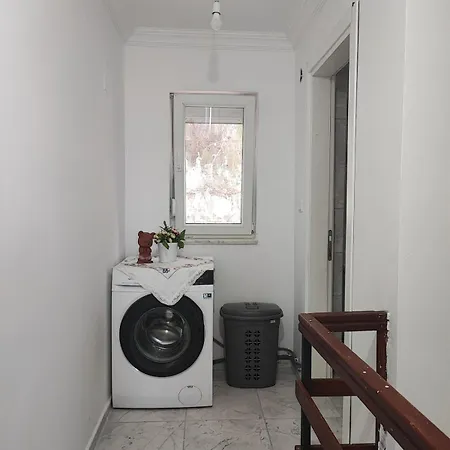 Coach Даламан