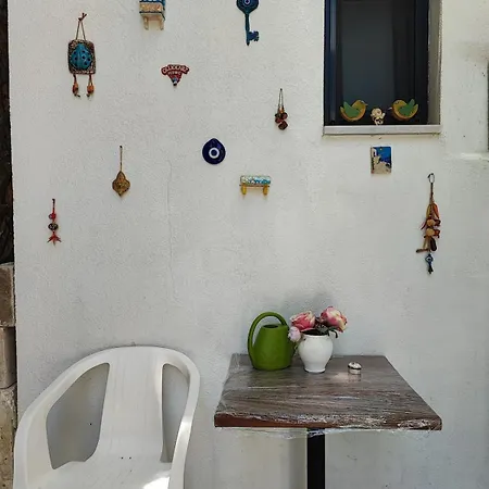 Coach Даламан